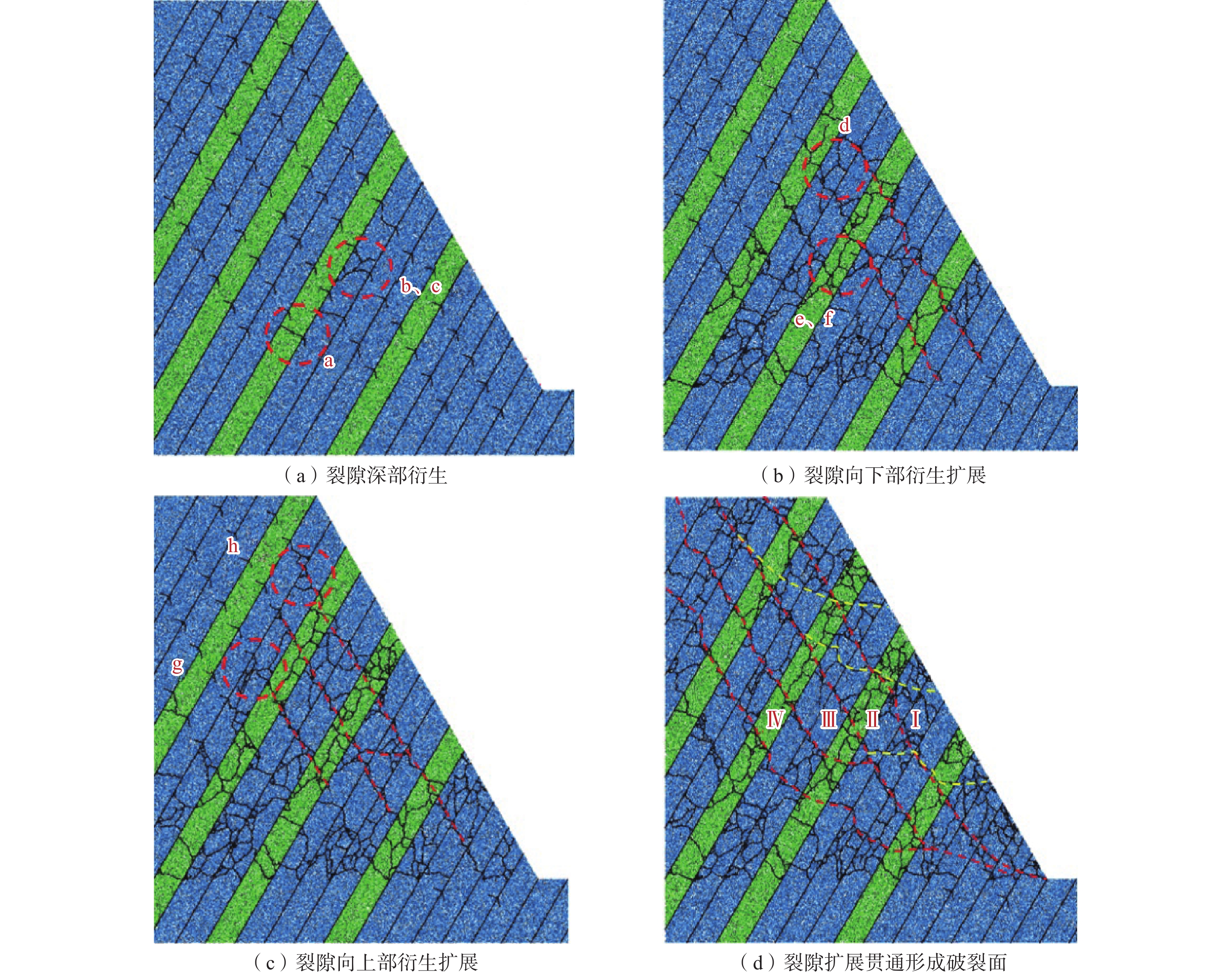 边坡破裂面演化特征图（PFC）